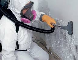 Best Biohazard Mold Removal  in Mineola, NY